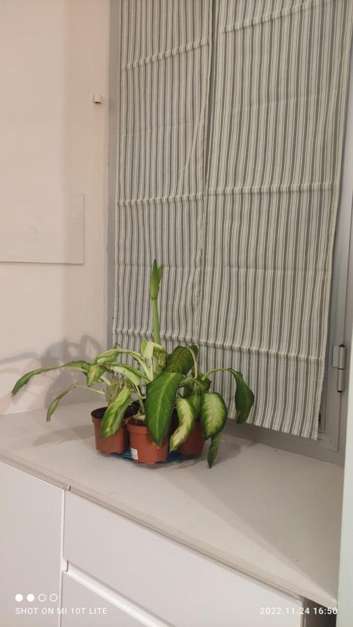 Apartmán Durazzo 6 Janov Exteriér fotografie
